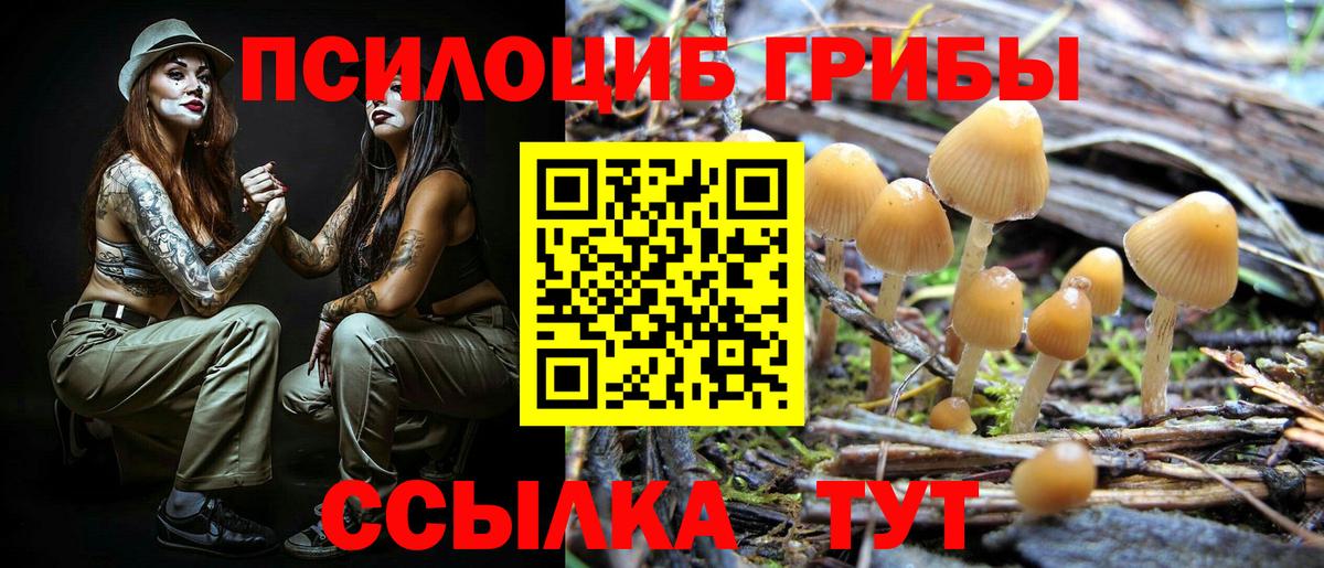 Псилоцибиновые грибы GOLDEN TEACHER Боровичи