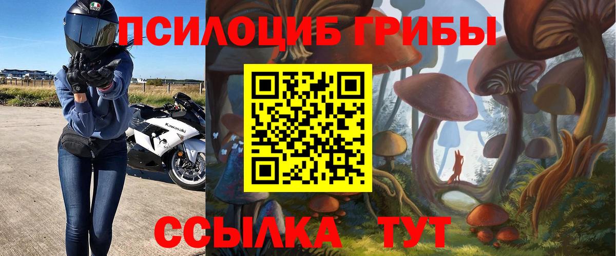 Галлюциногенные грибы Magic Shrooms  что такое   Боровичи  Вход с VPN  Псилоцибиновые грибы Psilocybe 